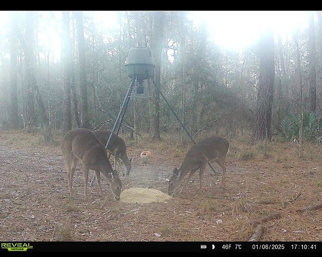 Photo of 23120 Gum Swamp Rd, Livingston, LA