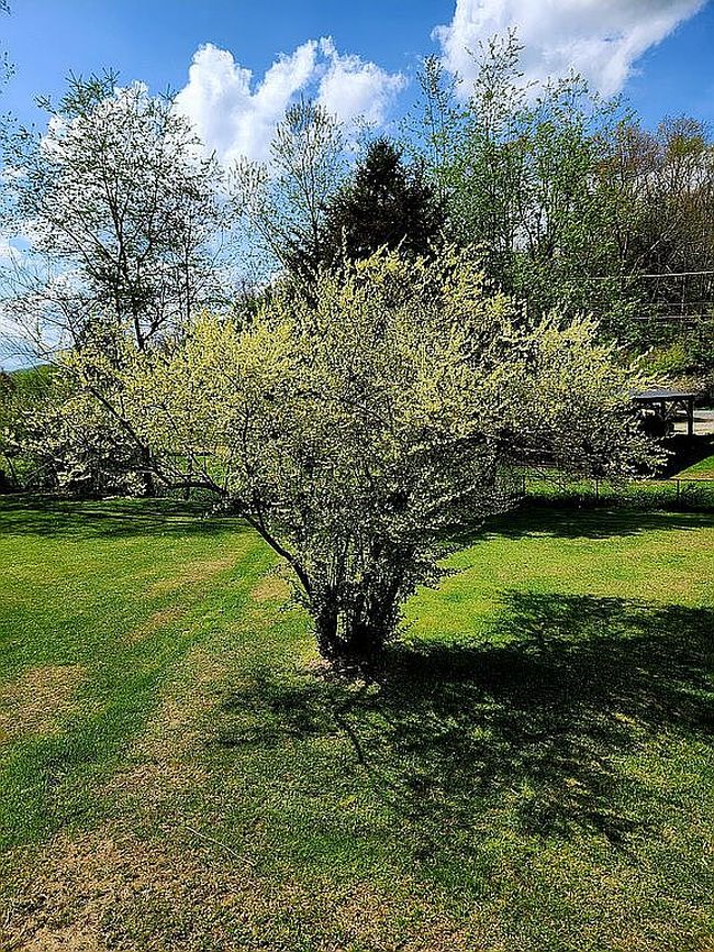 Photo of 1260 Lower Sandlick Rd, Beckley, WV