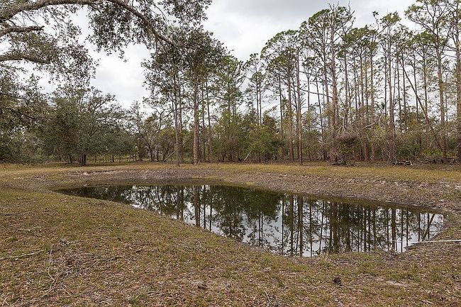 Image of 9080 Ogleby Creek Rd