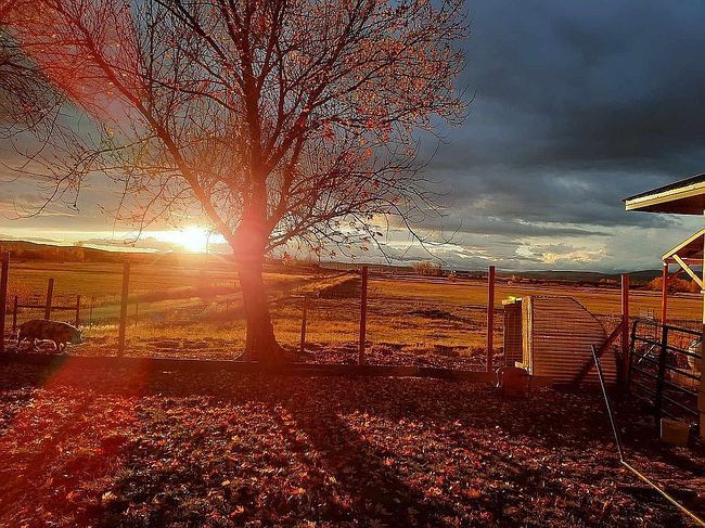 Photo of 945 Grays Creek Rd, Indian Valley, ID