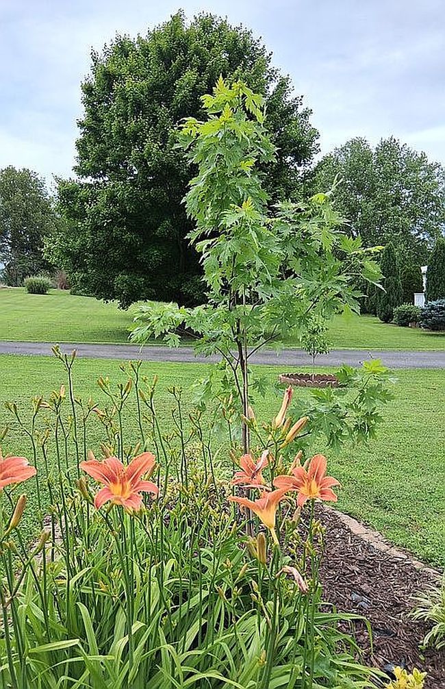 Additional photo 3 of property located at 2301 State Route 1181