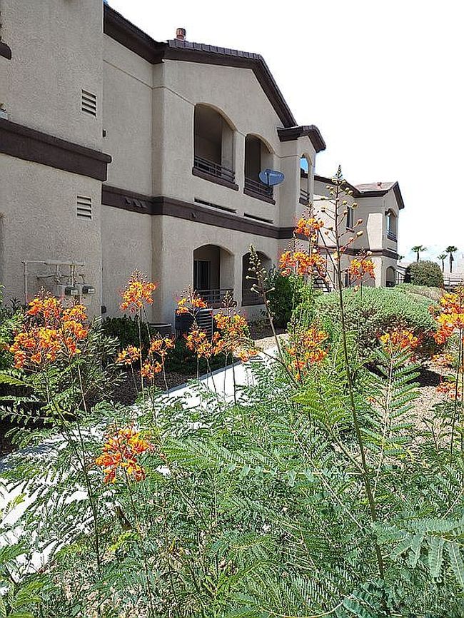 Photo of 2291 W Horizon Ridge Pkwy Unit 2108, Henderson, NV