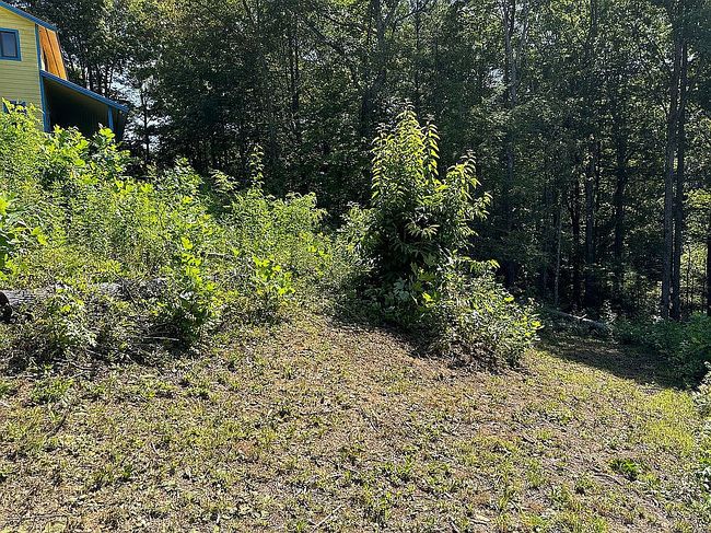 Image of 5475 Otto Williams Rd