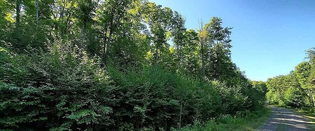 Photo of Smokey Lake Rd Lot 16, Iron River, MI