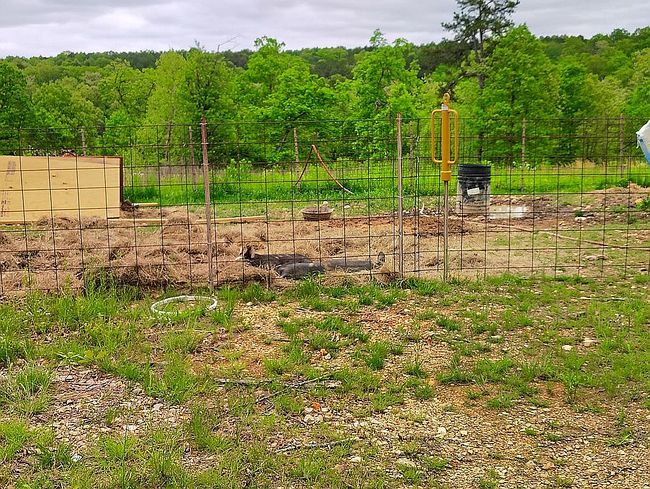 Photo of 600 Peaceful Ln, Yellville, AR