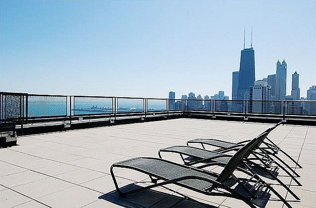 Image of 1440 N Lake Shore Dr Apt 12F