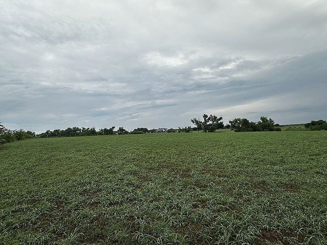 Photo of 4462 Fm 67, Grandview, TX