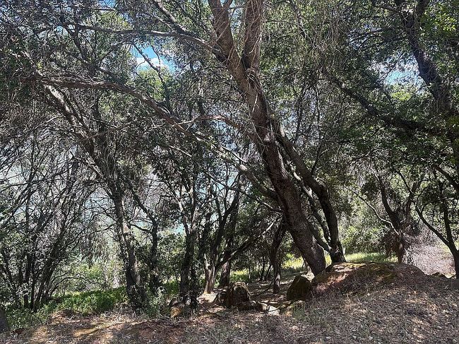 Photo of 10858 Northslope Dr, Kelseyville, CA