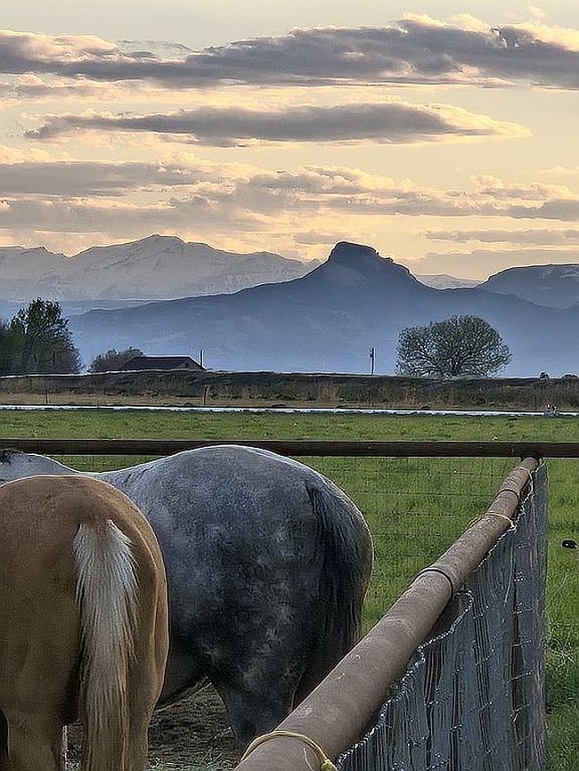 Photo of 1150 Road 4, Powell, WY