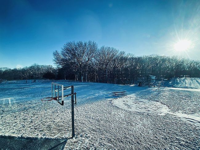 Image of 17236 Cardinal Dr