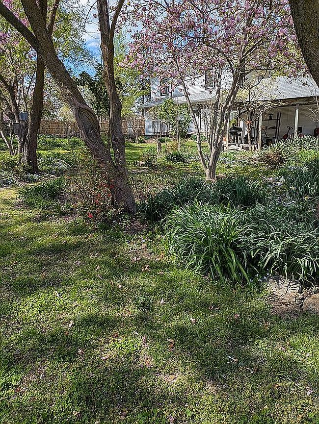 Photo of 511 E Mulberry St, California, MO