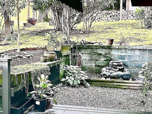 Photo of 367 Biodome Dr, Waynesville, NC