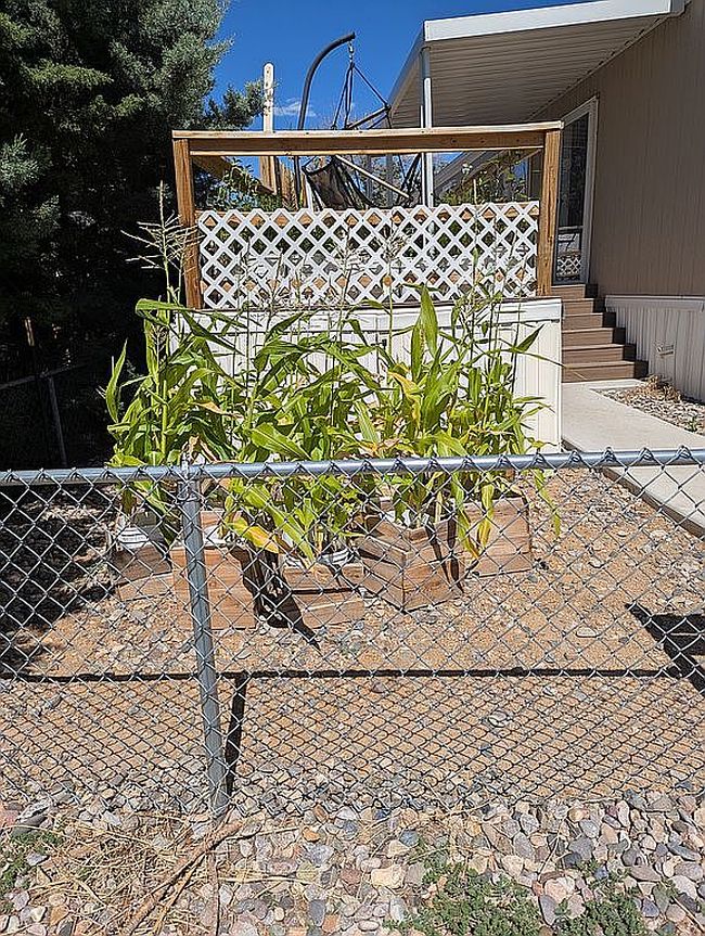 Photo of 604 Horseshoe Trl Se, Albuquerque, NM