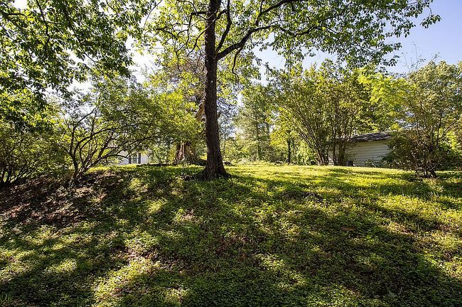 Image of 1566 Trenthill Dr
