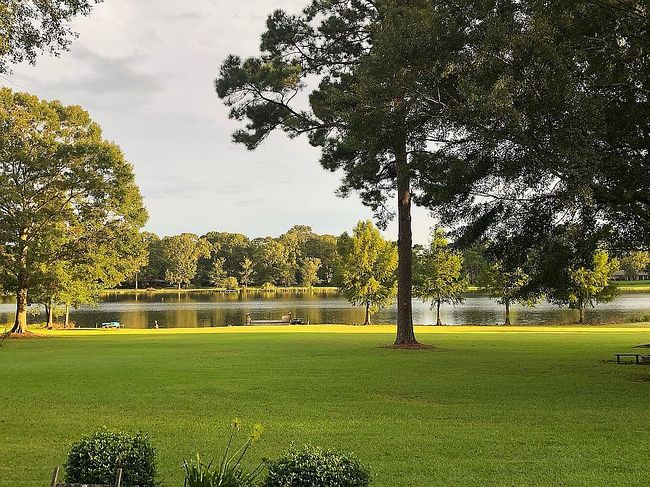 Image of 26318 Morning Dove Dr