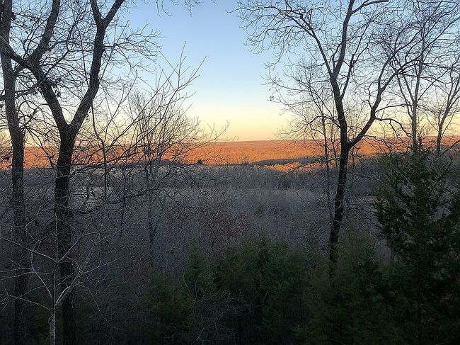 Photo of 257 County Road 760, Corinth, MS