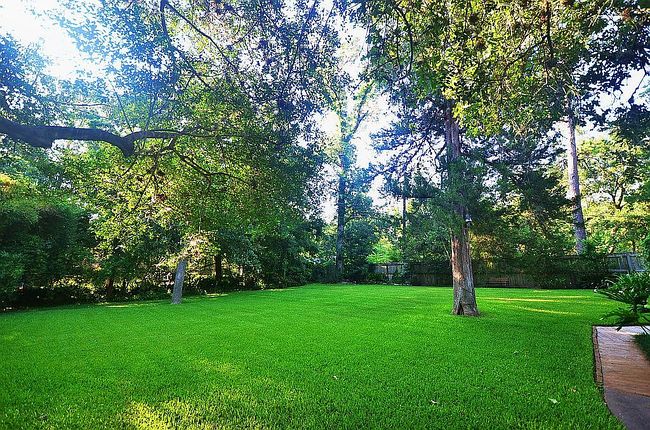 Photo of 850 Pecanwood Ln, Houston, TX