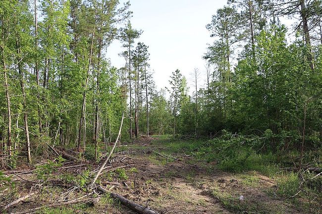 Image of 320 Fleming Rd
