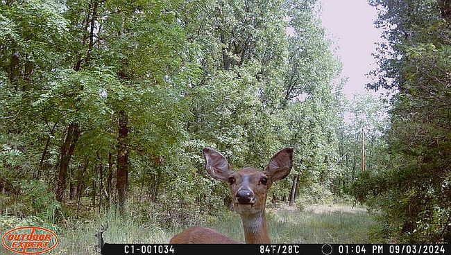 Image of 6030 Se 740 P Vt Rd
