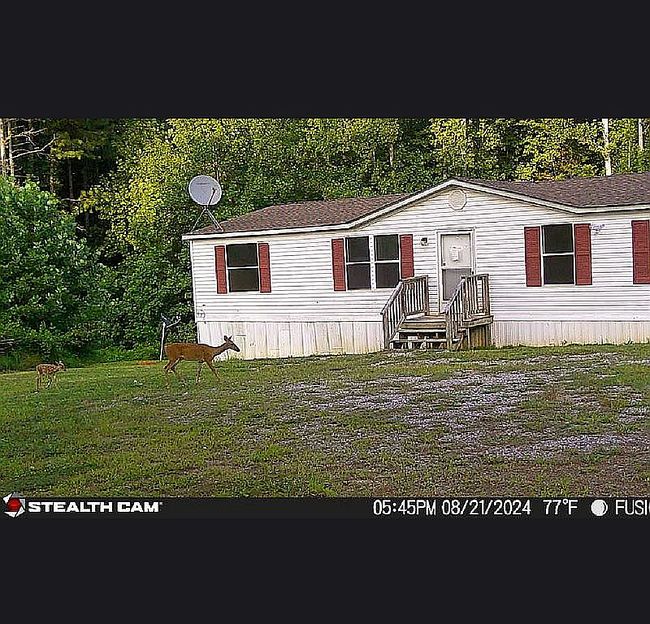 Photo of 51 Deerfield Acres Dr, Burkeville, VA