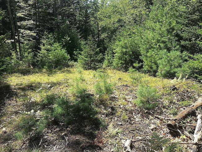 Photo of 29 State Rte 32 Lot 29, Round Pond, ME