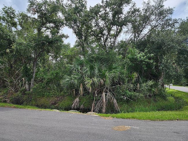 Photo of 18409 Ebb Ave, Port Charlotte, FL