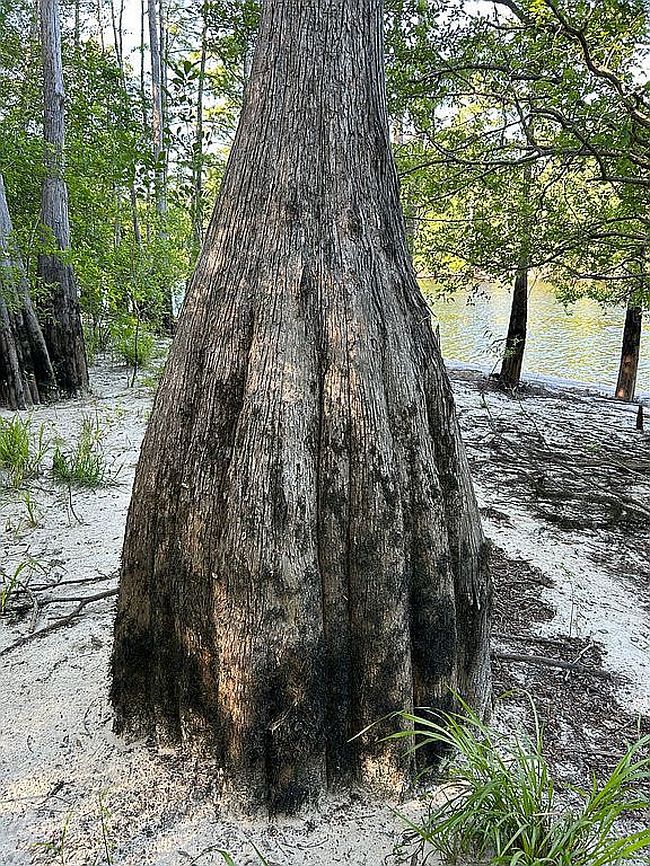 Image of 2180 River Rd