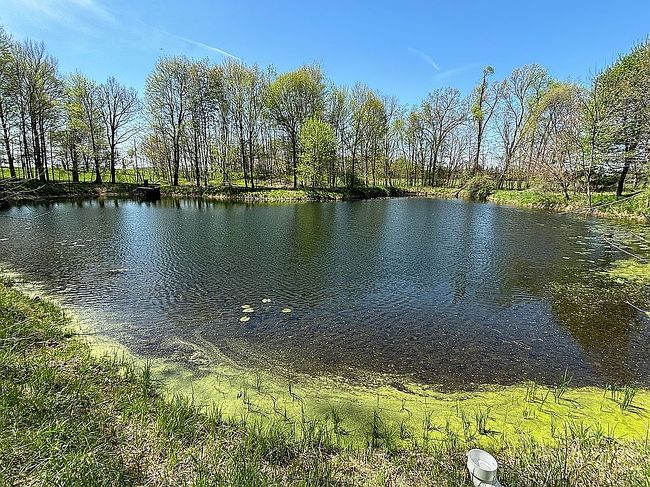 Photo of 4 & 5 Below Rd, Grass Lake, MI