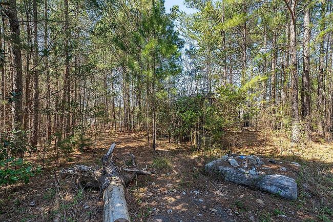 Image of 148 Peaceful Valley Rd