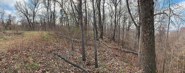 Photo of 325 Brooks Meadow Rd, Millington, TN