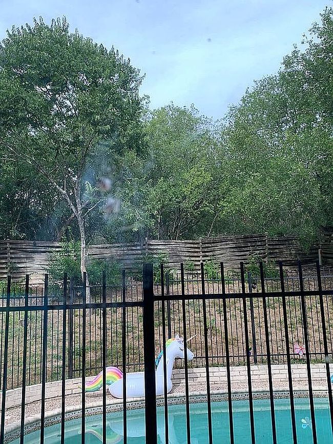 Image of 15706 Timberway St