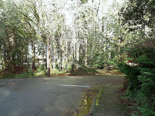 Photo of 3210 Sumac Dr S, Salem, OR