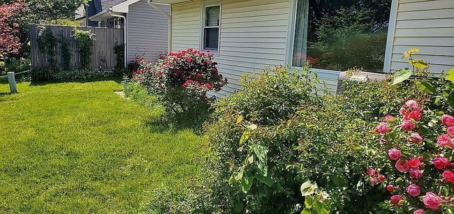 Image of 2005 Barberry Cir