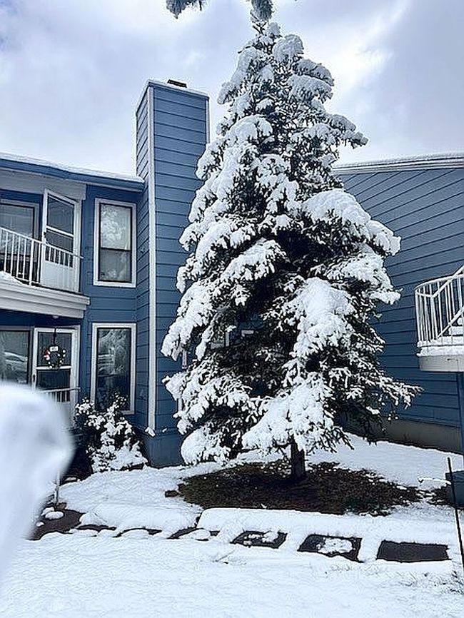 Image of 2700 S White Mountain Rd #424
