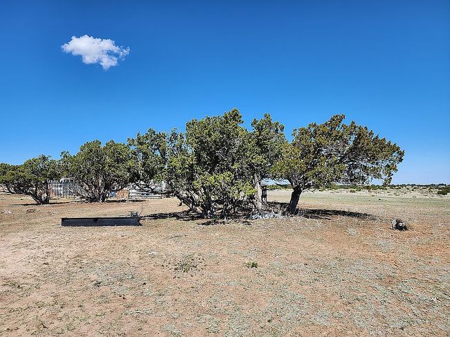 Photo of 22 Carlowe Rd, Fence Lake, NM