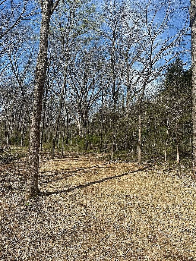 Image of Lot 8 Marks Crossing Ln