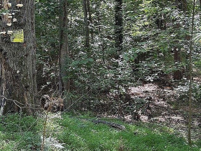 Photo of Indian Knoll Rd, Cumming, GA