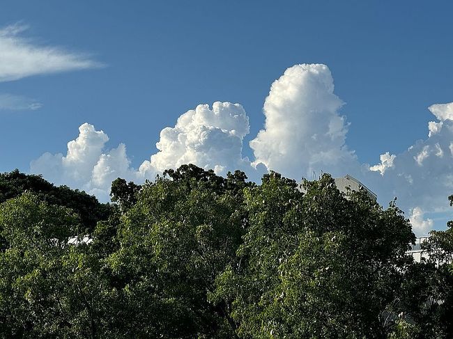 Additional photo 3 of property located at 720 Ne 62nd St Apt 404