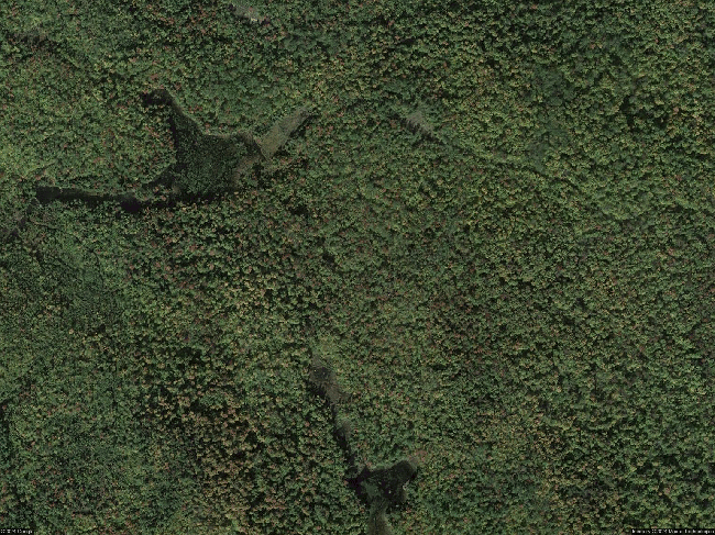 Additional photo of property located at 21 Wiley St