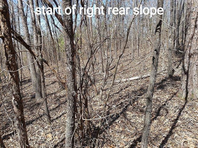 Photo of 1720 Elmer Cox Rd, Bethel Springs, TN