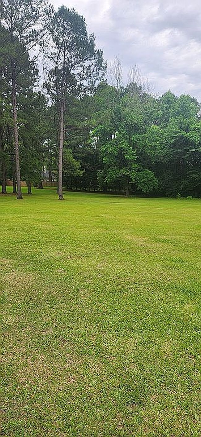 Image of 141 Clinton Crossing Dr