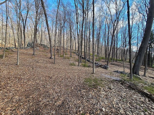 Image of 672 Union Valley Rd