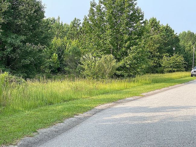 Photo of 175 Jaylin Blvd, Spring Lake, NC