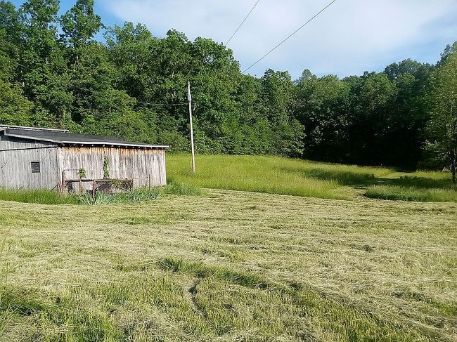 Photo of 15585 Bucks Lake Rd, Guysville, OH