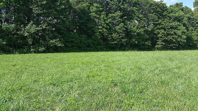 Image of 4690 N County Road 880 E