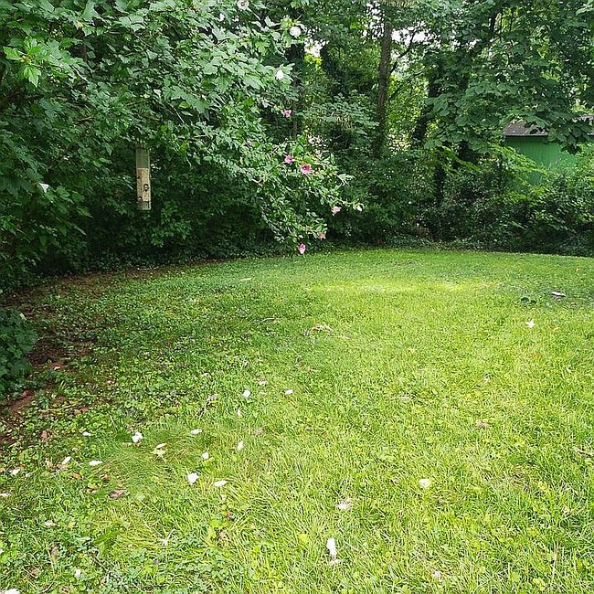 Additional photo 1 of property located at 481 Little John Dr