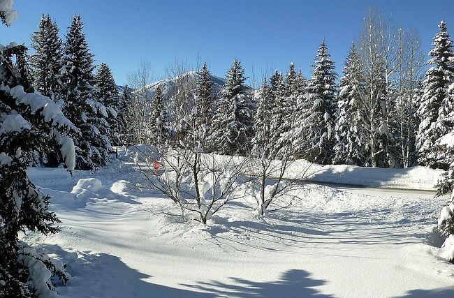 Image of 400 Fairway Rd