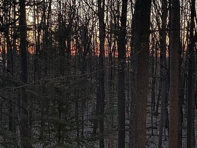 Photo of 7529 Peaceful Valley Rd, Williamsburg, MI