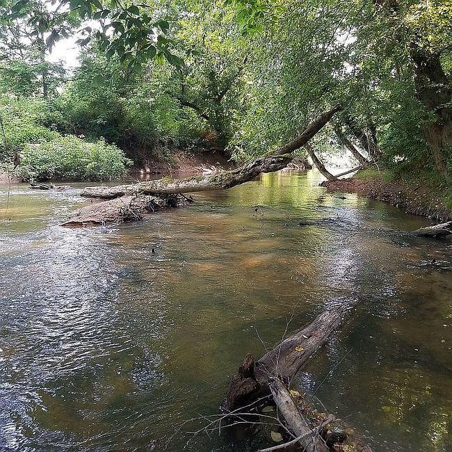 Image of 1171 Brohard Rd