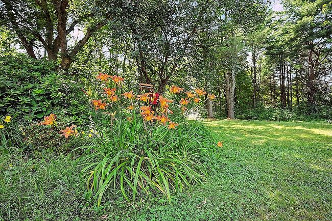 Photo of 653 Simmons Dr, Shelburne, VT